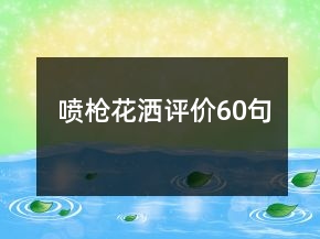 噴槍花灑評價60句