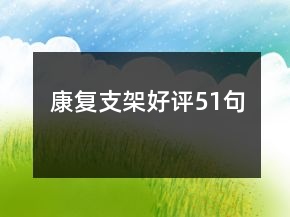 康復(fù)支架好評51句
