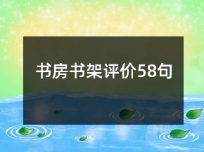 書房書架評(píng)價(jià)58句