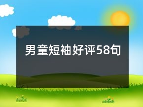男童短袖好評(píng)58句
