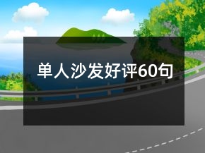 單人沙發(fā)好評60句