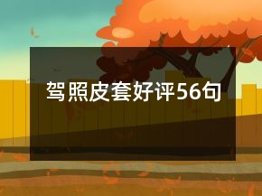 駕照皮套好評56句
