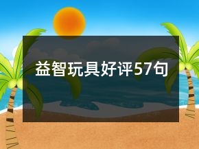 益智玩具好評57句