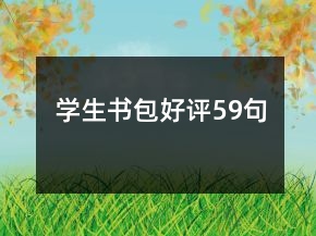 學(xué)生書(shū)包好評(píng)59句