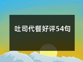 吐司代餐好評54句
