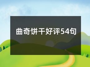 曲奇餅干好評54句