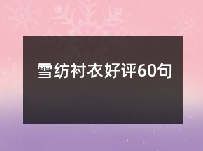 雪紡襯衣好評60句