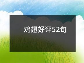 雞翅好評(píng)52句