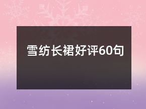 雪紡長裙好評60句