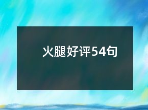 火腿好評54句
