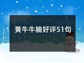 黃牛牛腩好評(píng)51句
