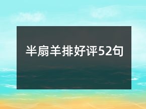 半扇羊排好評52句