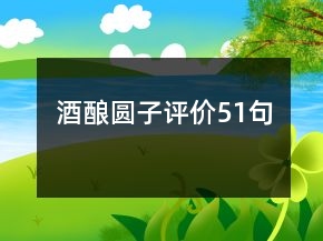 酒釀圓子評價(jià)51句