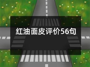 紅油面皮評價(jià)56句