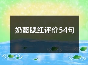奶酪腮紅評(píng)價(jià)54句