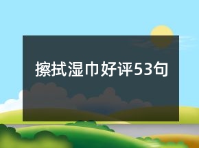 擦拭濕巾好評53句