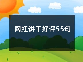 網(wǎng)紅餅干好評55句