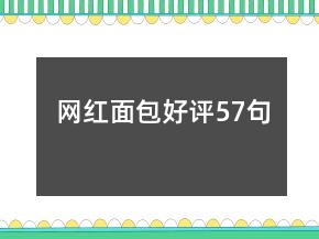 網(wǎng)紅面包好評(píng)57句