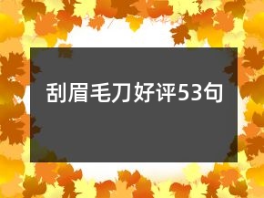 刮眉毛刀好評(píng)53句