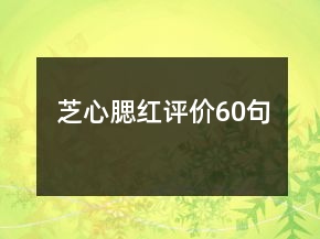 芝心腮紅評(píng)價(jià)60句