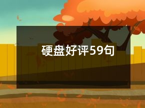 硬盤好評59句