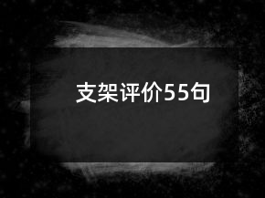 支架評價55句