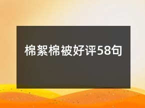 棉絮棉被好評(píng)58句