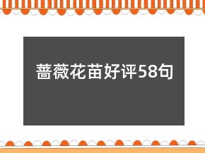 薔薇花苗好評58句