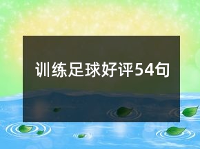 訓(xùn)練足球好評54句