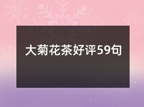 大菊花茶好評59句