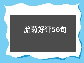 胎菊好評(píng)56句