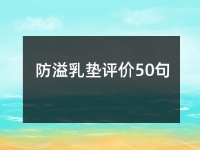 防溢乳墊評(píng)價(jià)50句