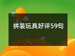 拼裝玩具好評59句
