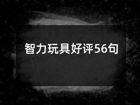 智力玩具好評56句