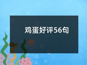 雞蛋好評(píng)56句