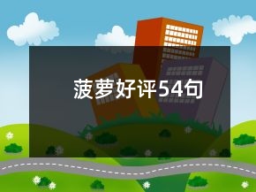 菠蘿好評(píng)54句