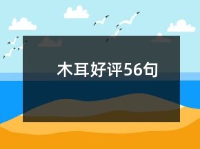 木耳好評56句
