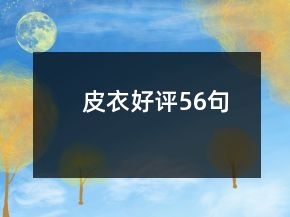 皮衣好評(píng)56句