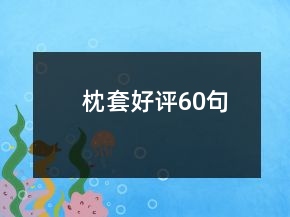 枕套好評(píng)60句