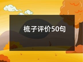 梳子評價50句