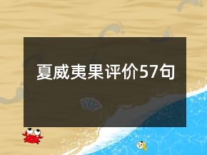 夏威夷果評價57句