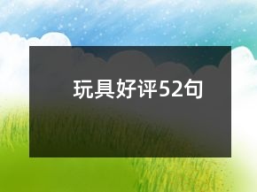 玩具好評52句