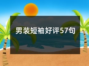 男裝短袖好評57句