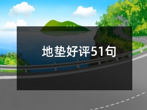 地墊好評(píng)51句