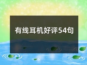有線耳機好評54句