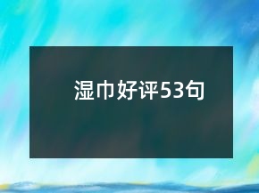 濕巾好評53句