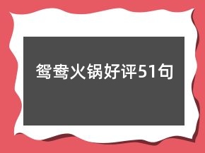 鴛鴦火鍋好評51句