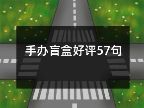 手辦盲盒好評57句
