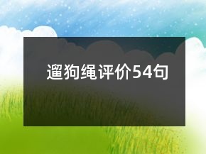 遛狗繩評(píng)價(jià)54句