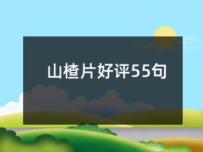 山楂片好評(píng)55句
